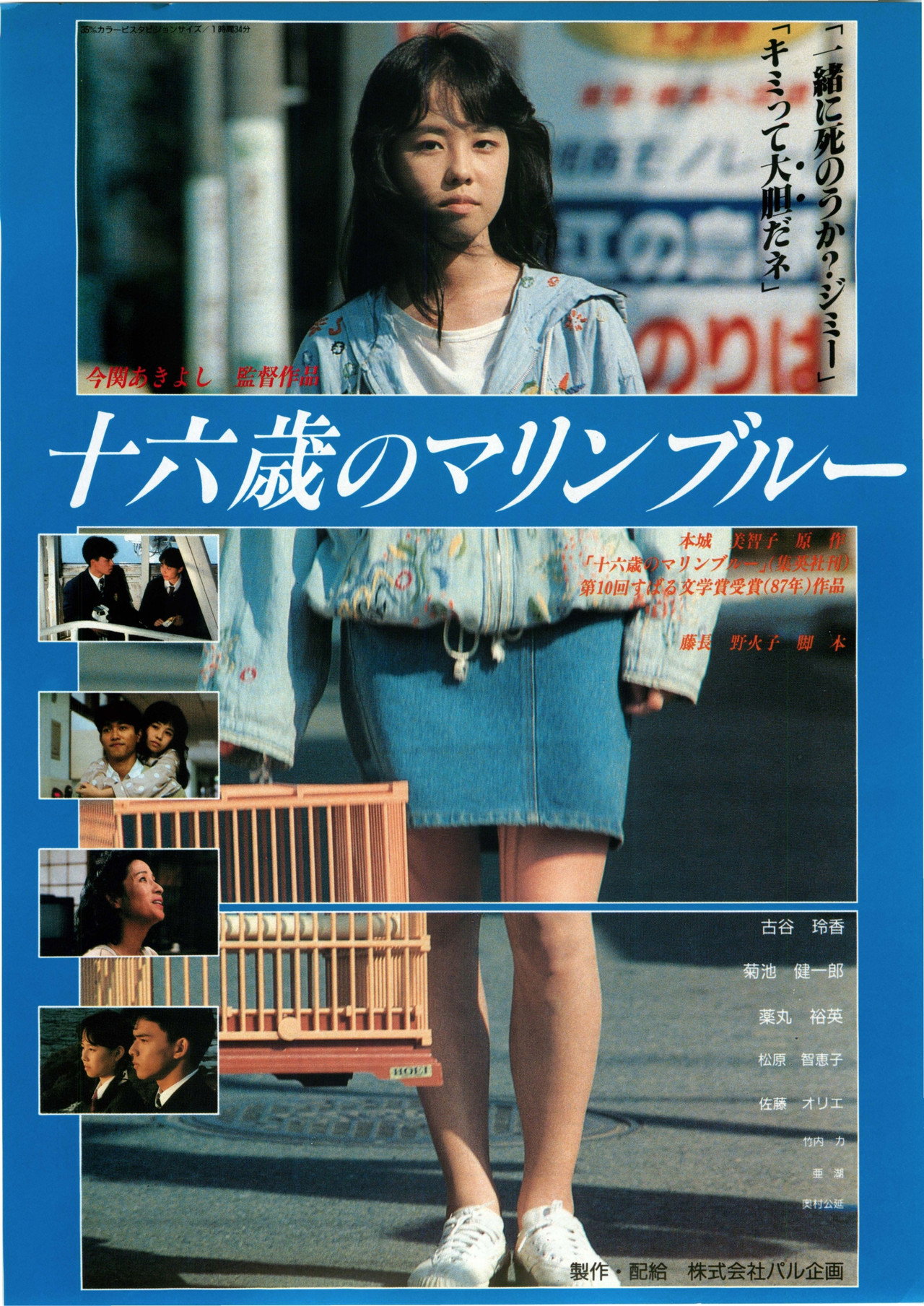 16-Sai no Marine Blue Backdrop