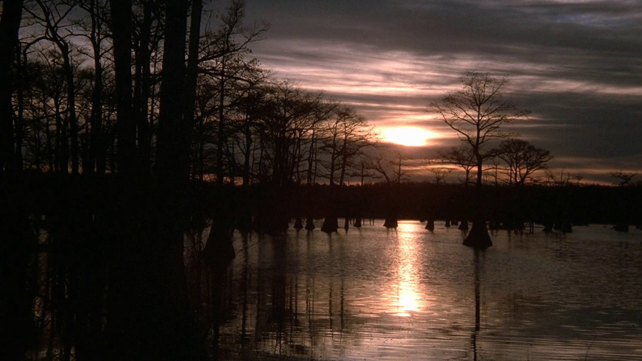 scenes 21