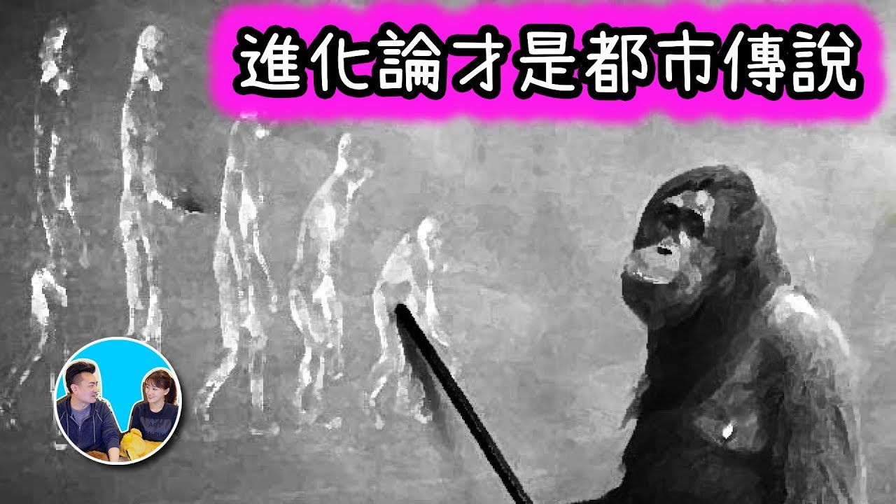 老高与小茉 — Épisode 38