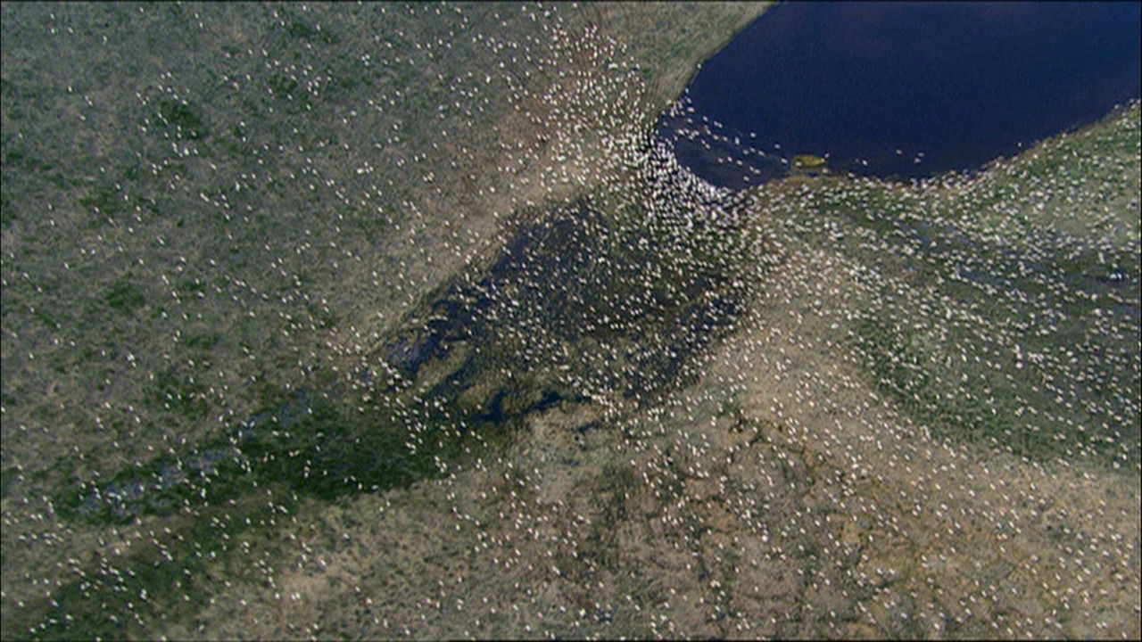 Planète Terre — Épisode 19