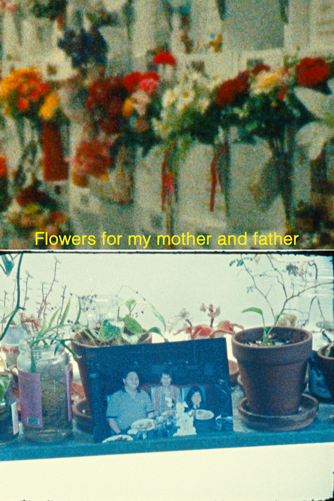 Flowers for my mother and father filmaffisch