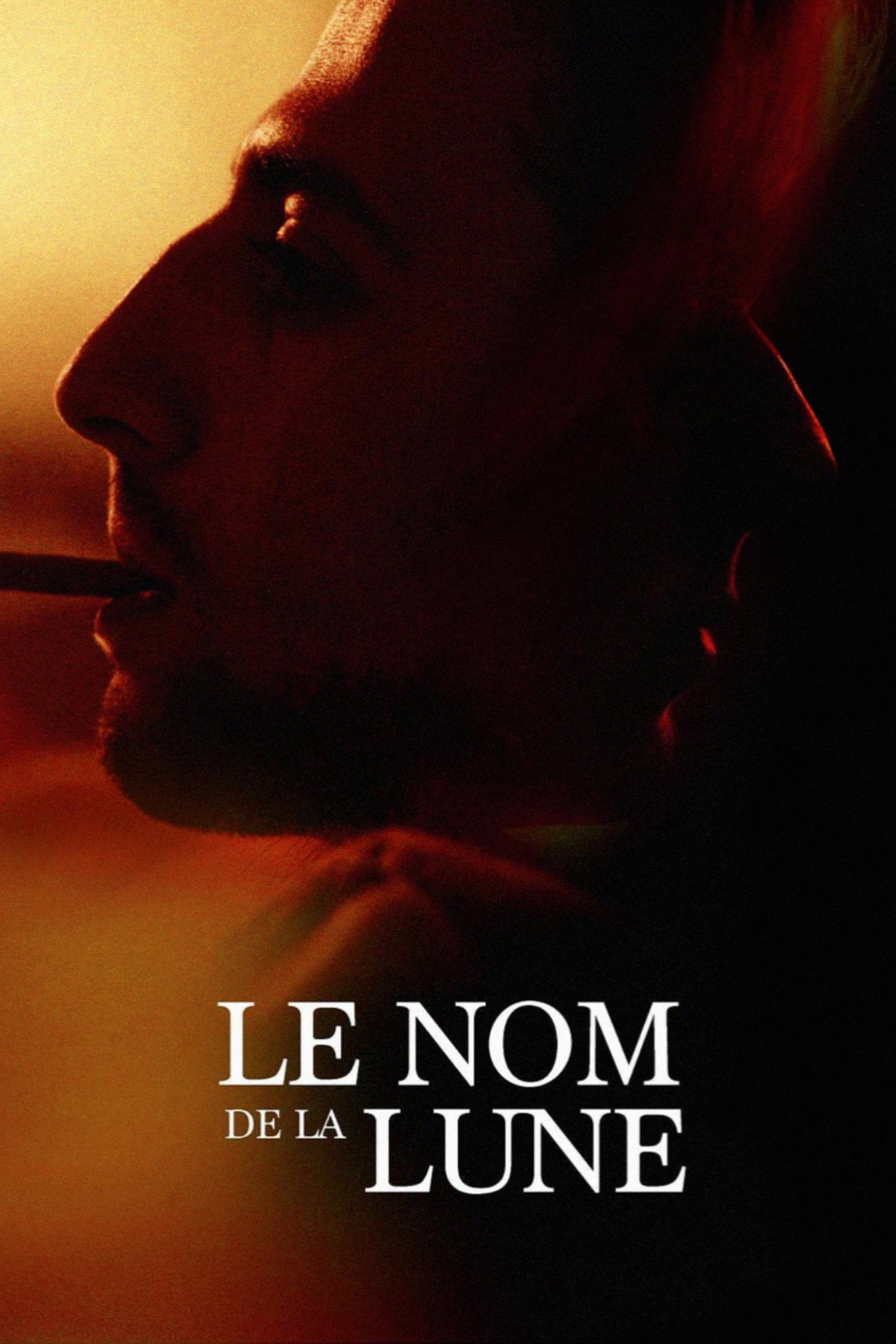 Le nom de la lune filmaffisch