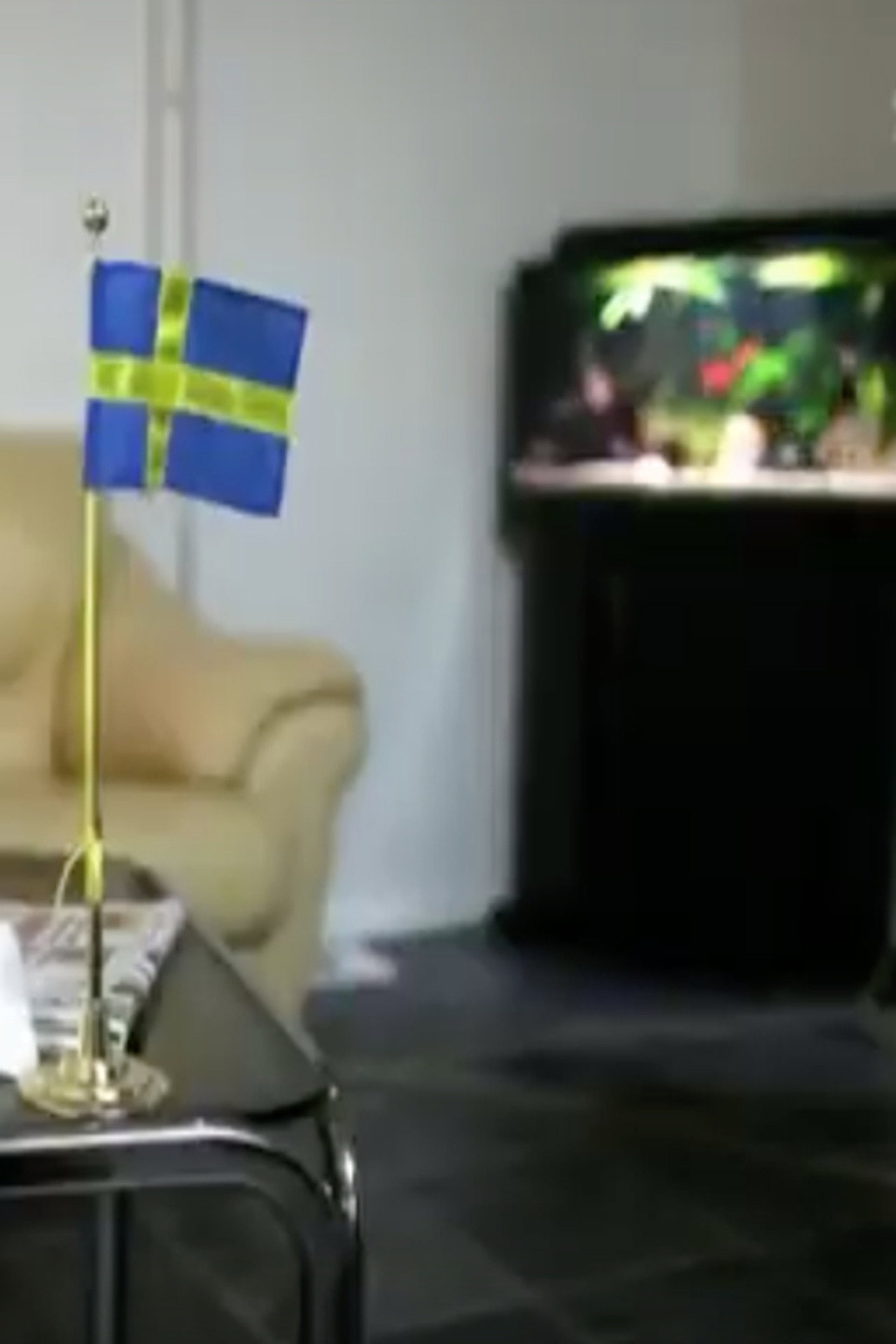 Sverigedemokraterna - vägen till riksdagen filmaffisch