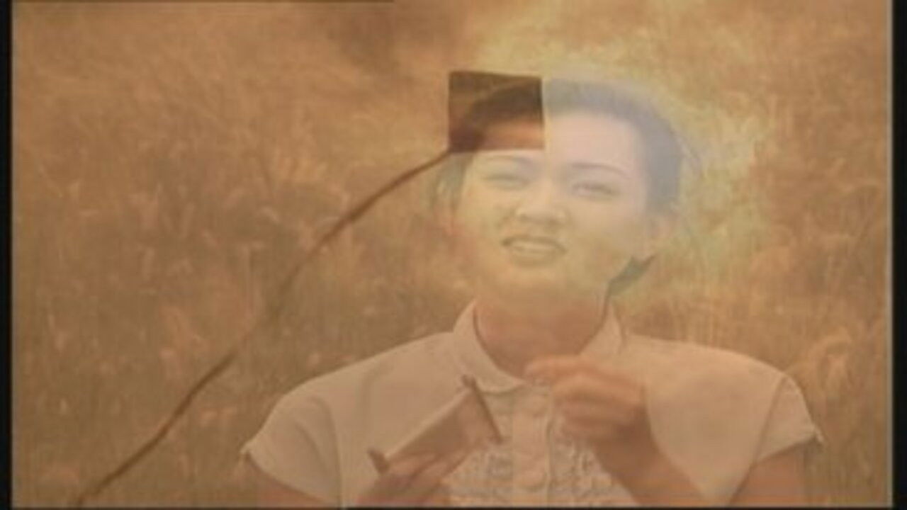 和平的代价 — Épisode 10