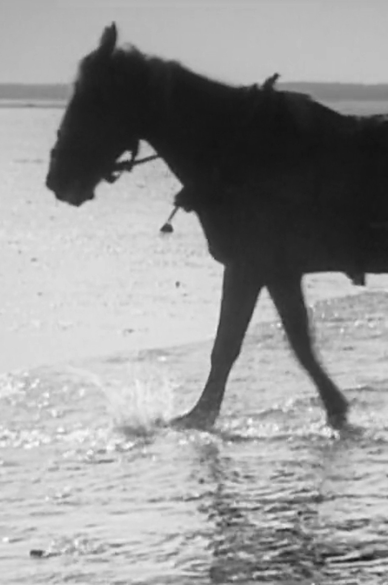 Tide filmaffisch