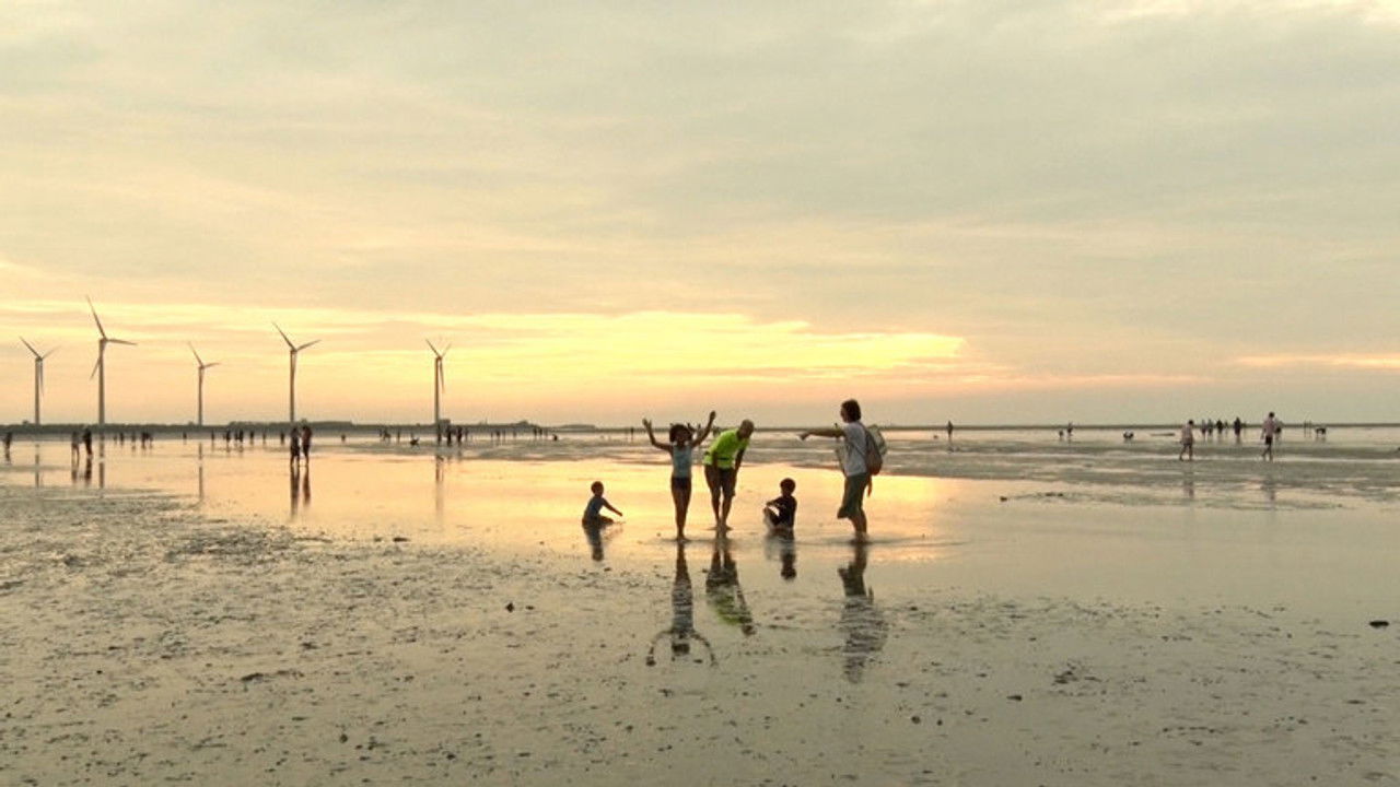 Asia Insight — Épisode 23