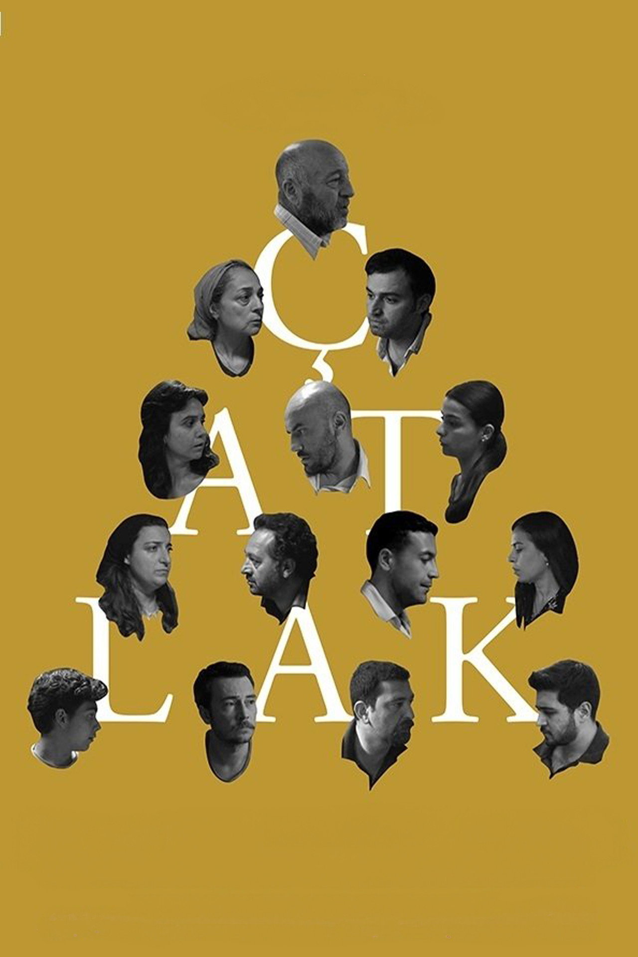 Çatlak afişi