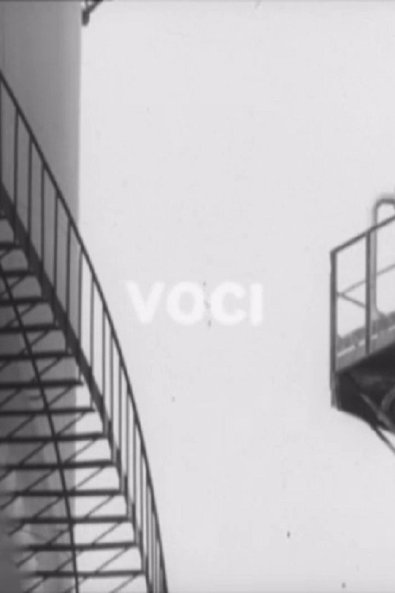 Voci Voci