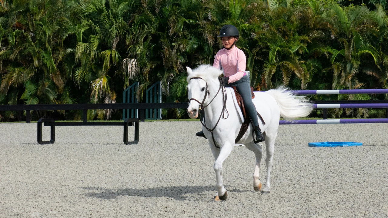 Island of Bryan — Épisode 2