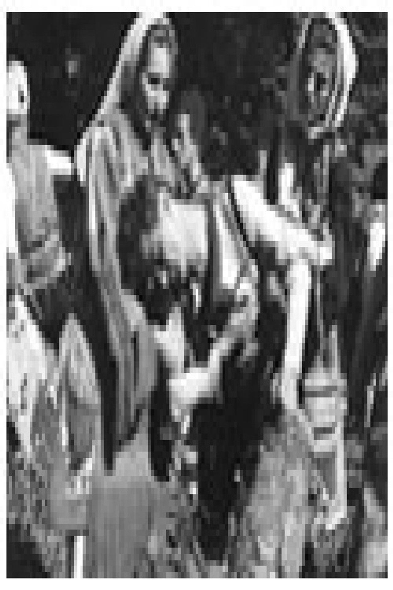 The Legend of Komiti Backdrop