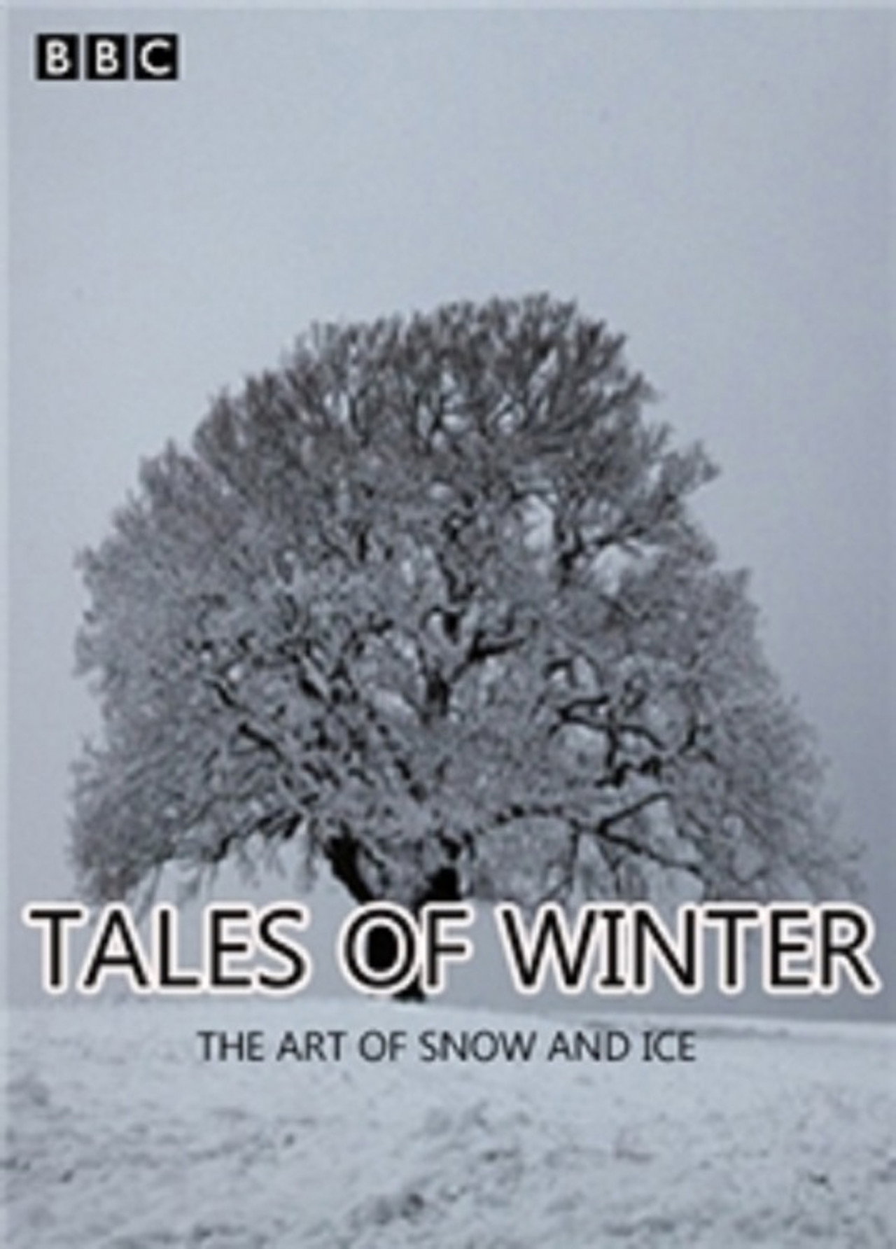 Tales of Winter: The Art of Snow and Ice Backdrop