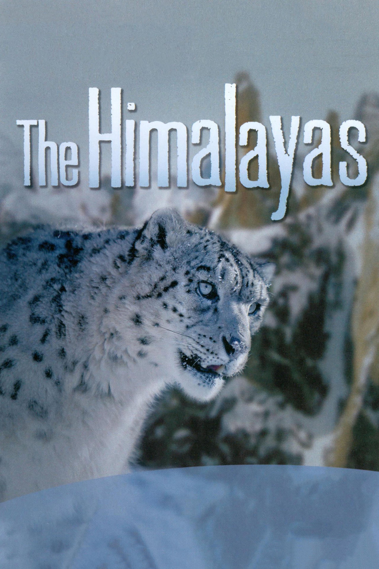 The Himalayas afişi