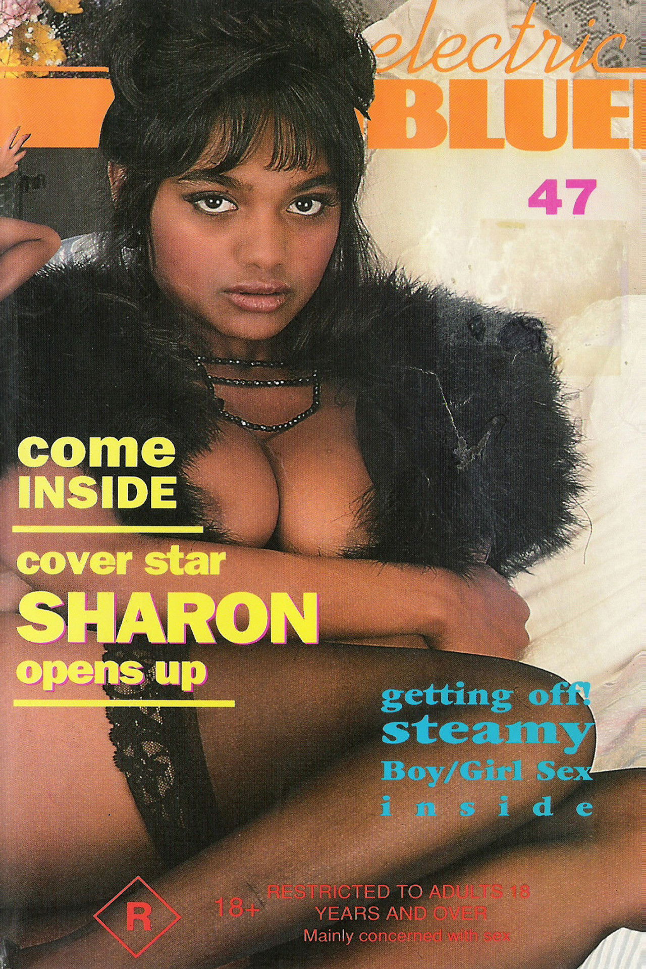 Electric Blue 47 Backdrop