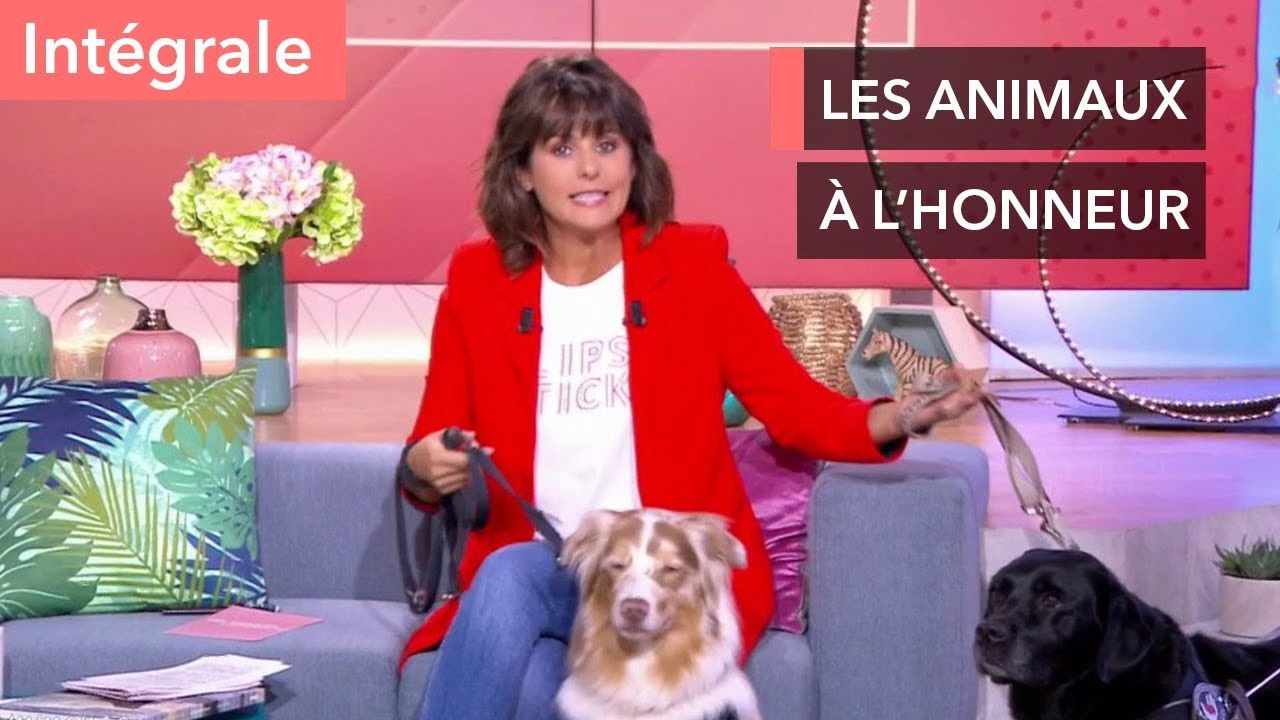 Mon animal, ma plus belle rencontre !