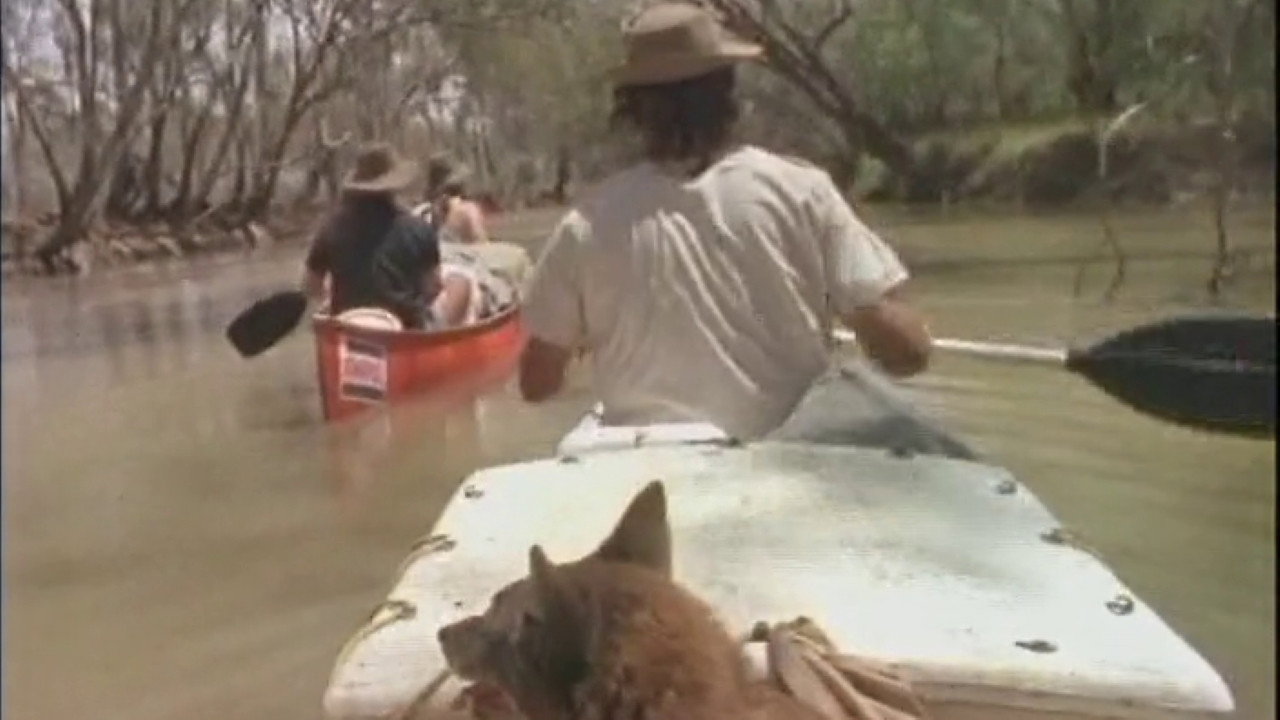 The Macquarie Marshes