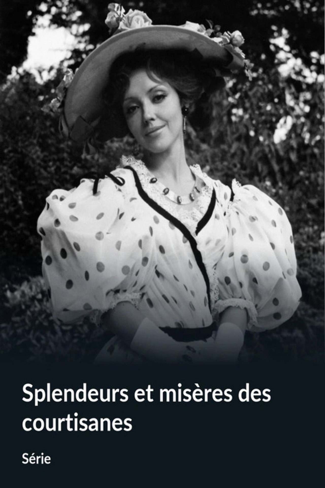 Splendeurs et misères des courtisanes