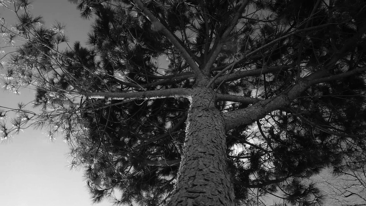 A film about nothing