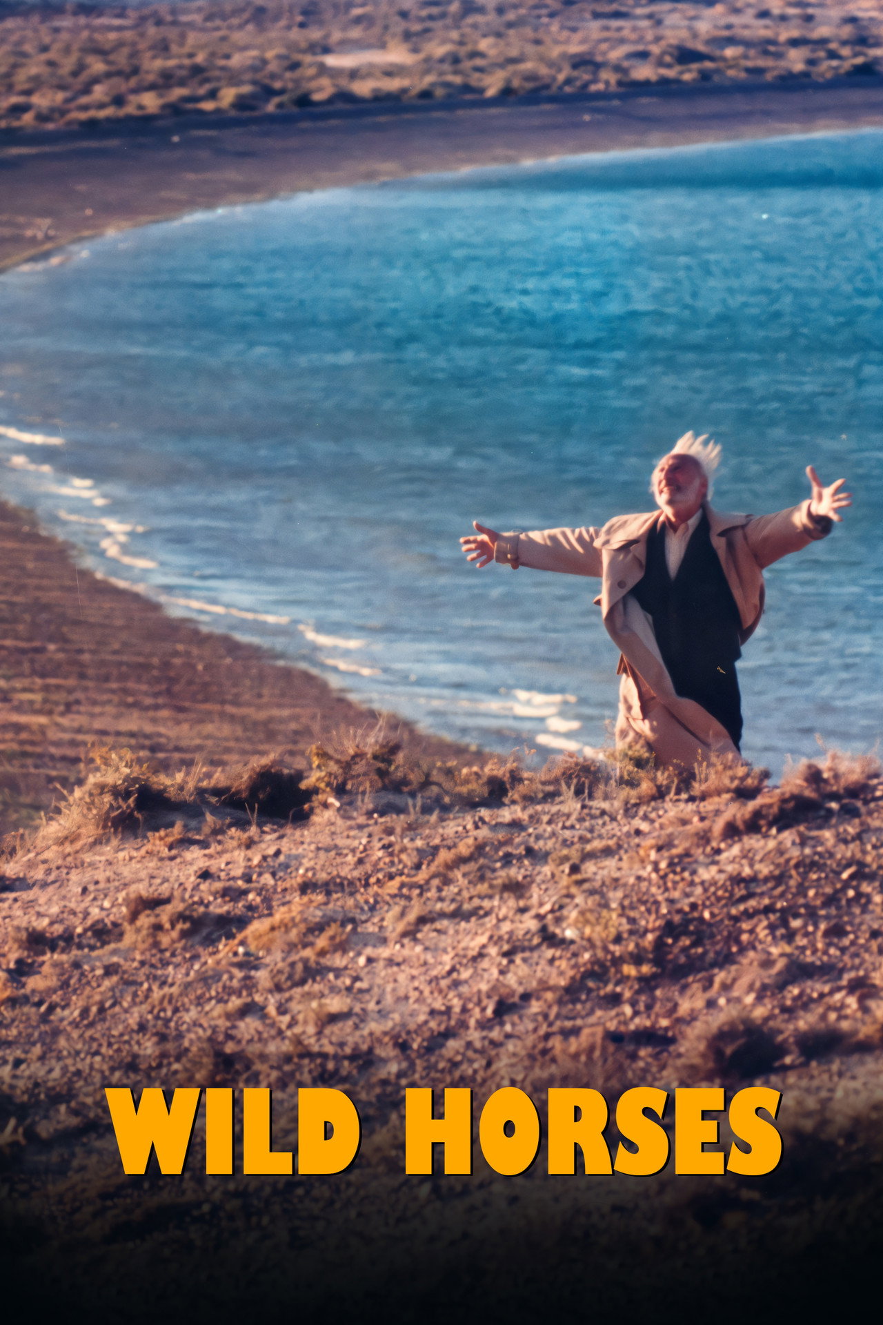 posters 5