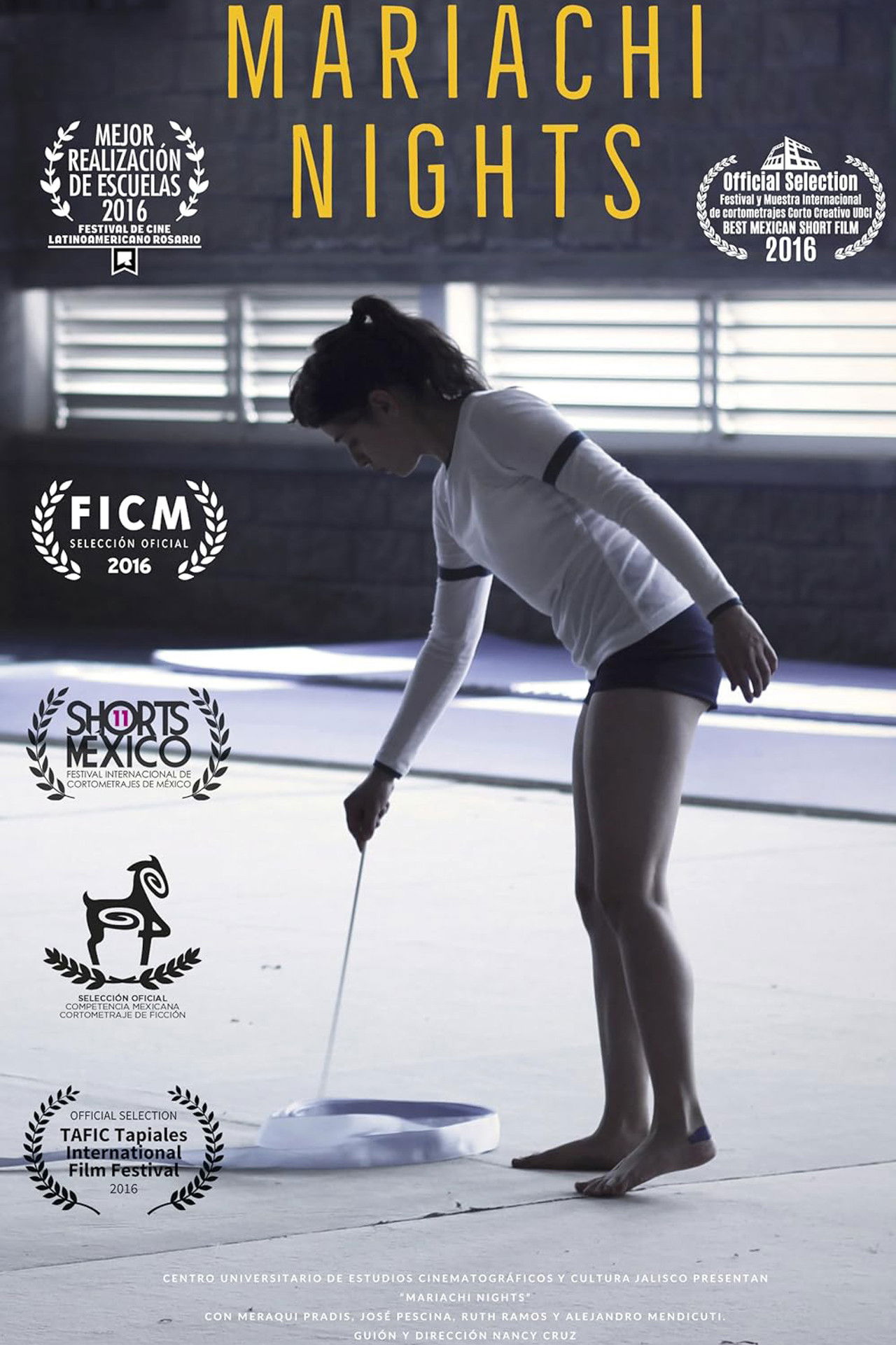 Mariachi Nights Backdrop