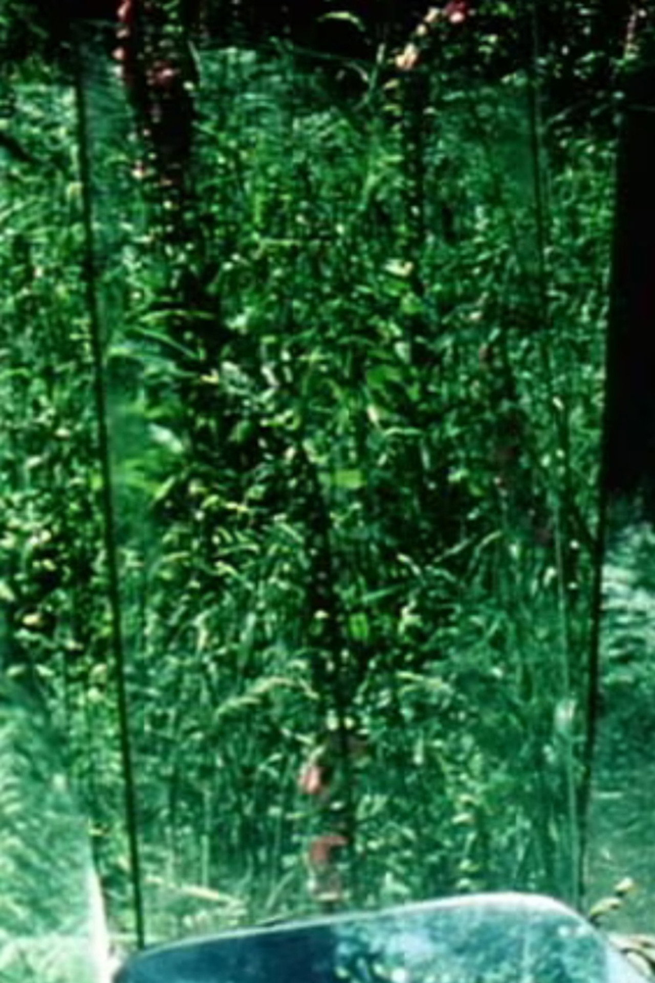 Peripeteia II filmaffisch