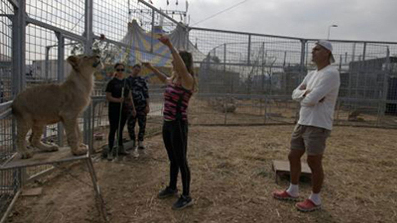 Wild Frank — Épisode 3