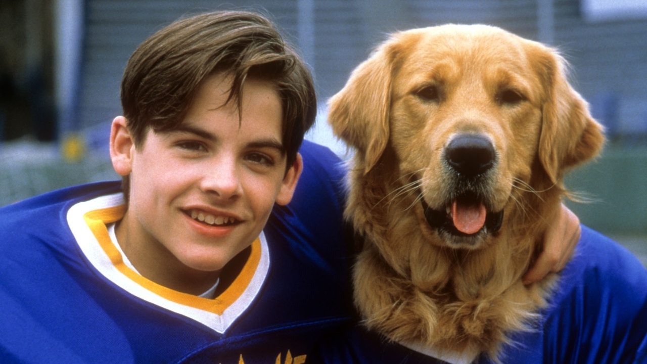 Scen från Air Bud räddar spelet