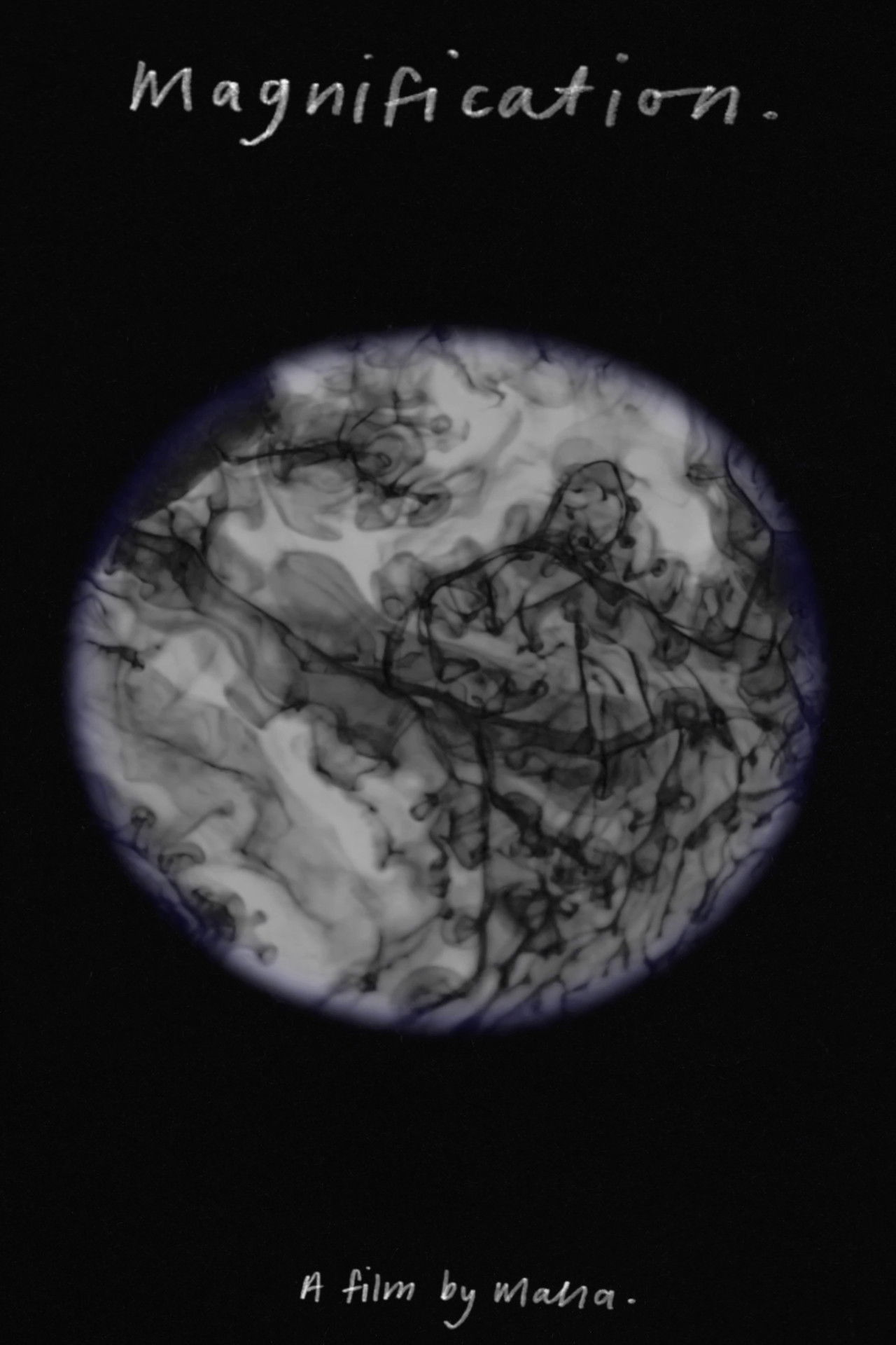 Magnification. poster