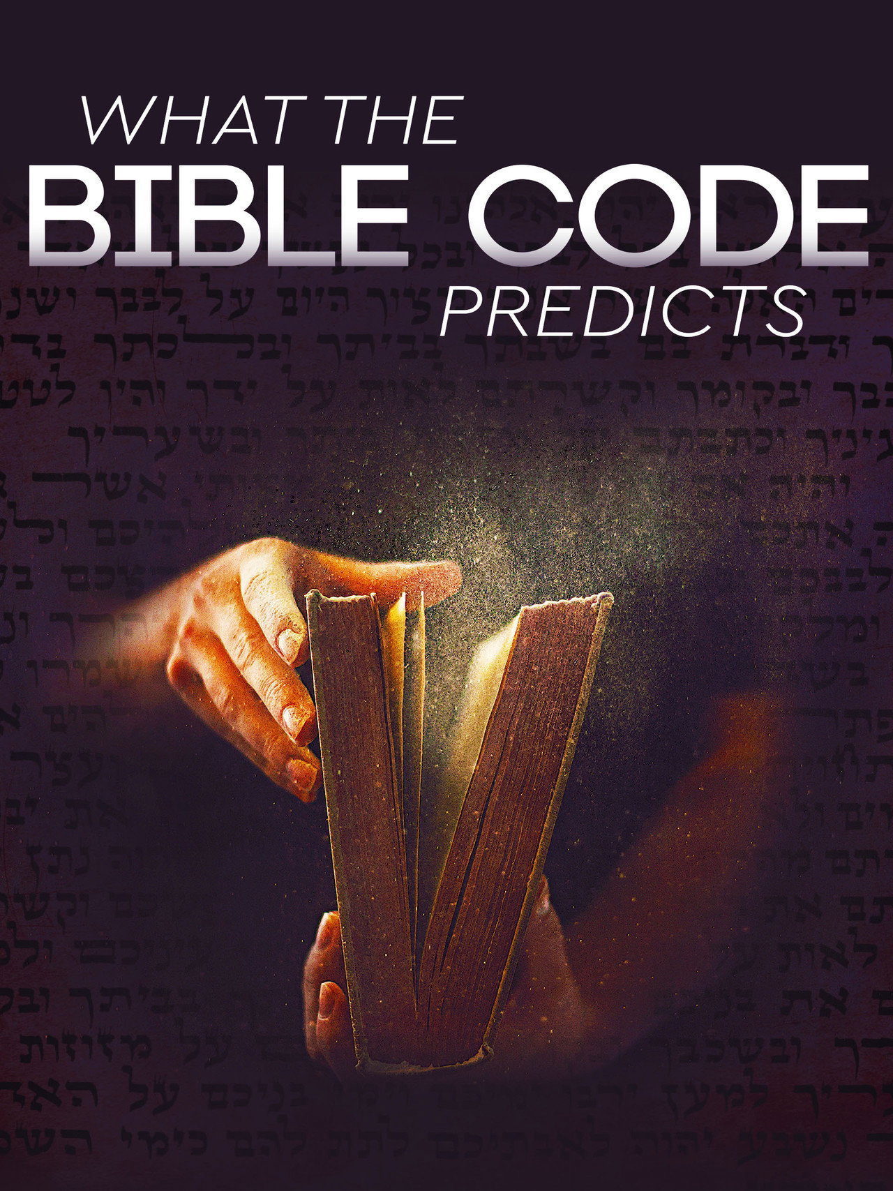 What the Bible Code Predicts filmaffisch