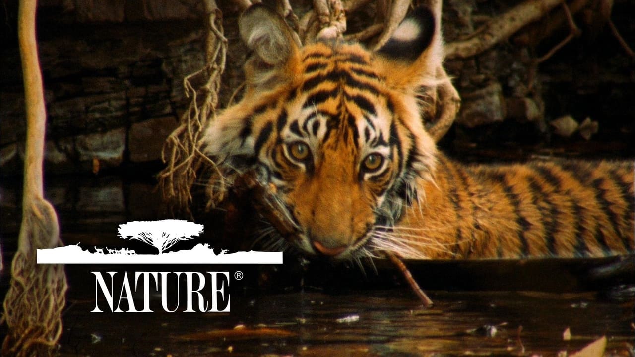 Nature - Season 17 Episode 7 : India, Land of the Tiger: Desert Kingdom