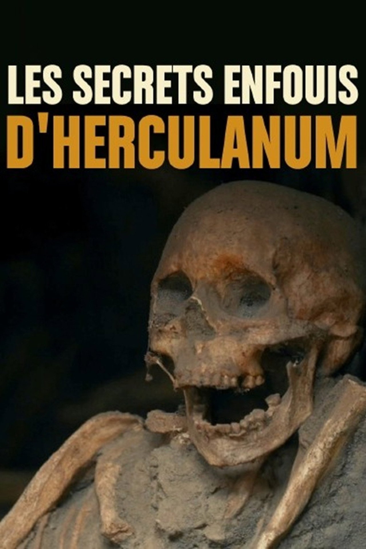 Les secrets enfouis d'Herculanum filmaffisch