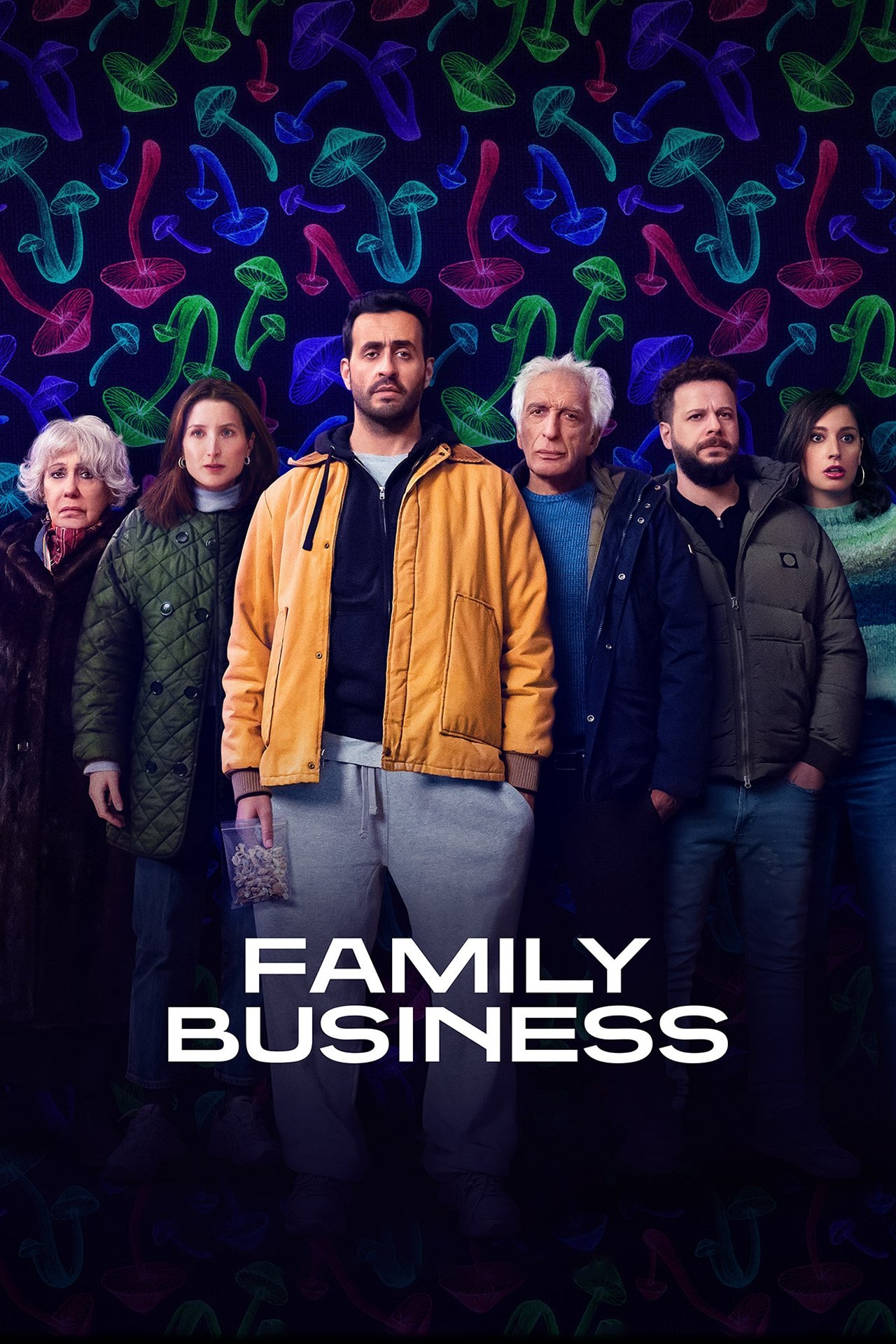 Poster Family Business (2019)