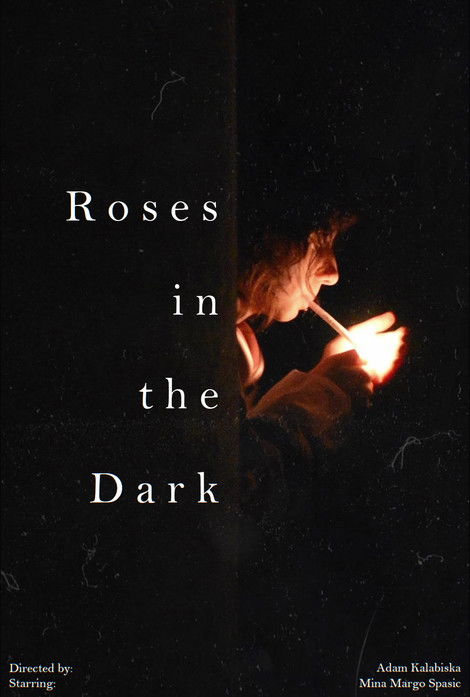 Roses in the Dark poster