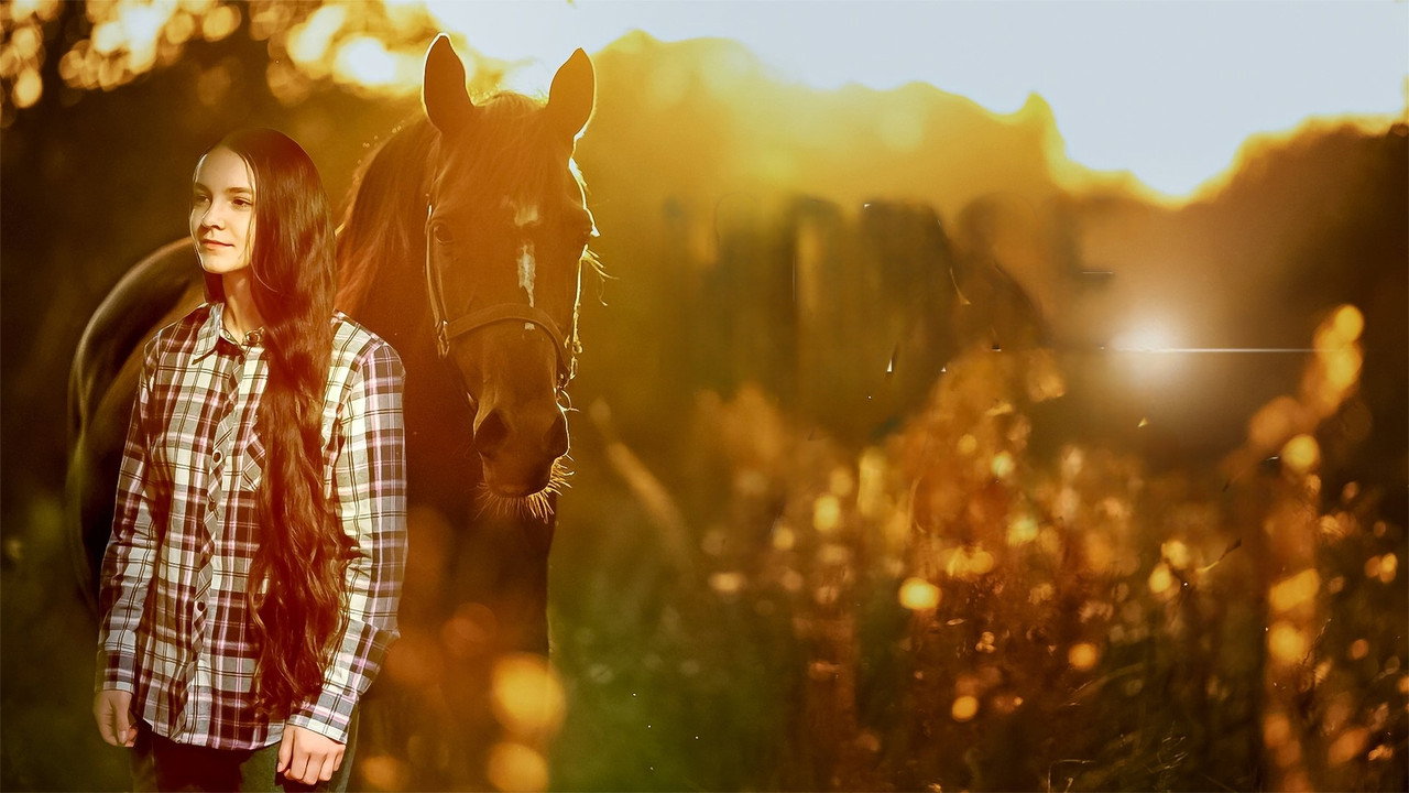 Immagine di copertina del trailer di Horse Healing