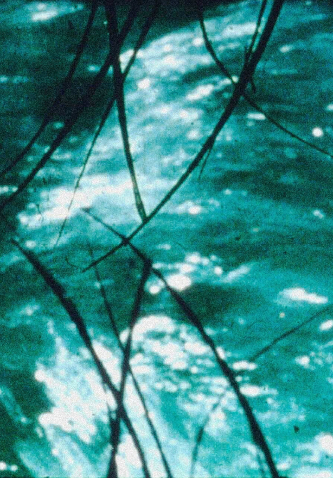 タイムスリット filmaffisch