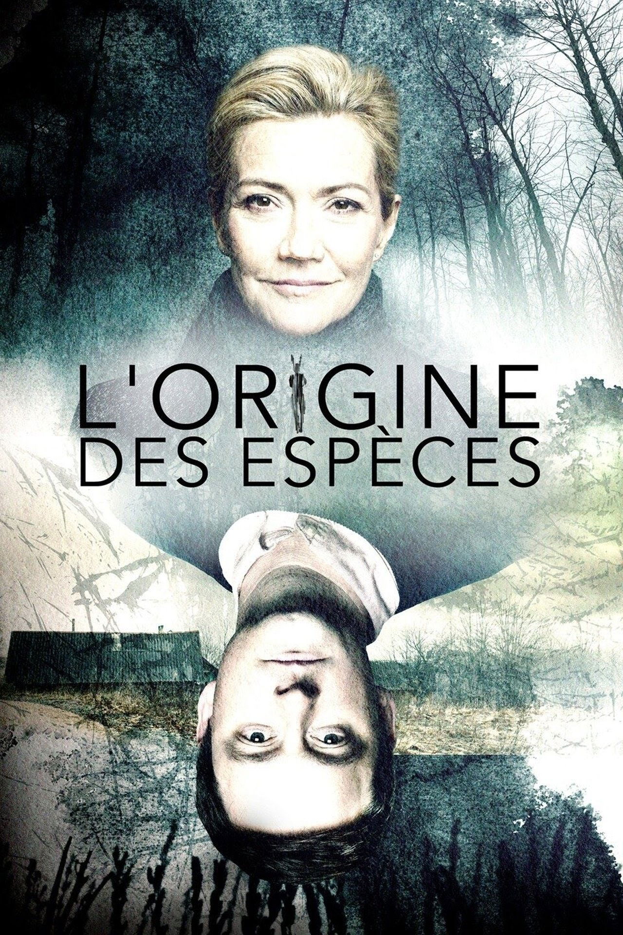 L'Origine des espèces poster