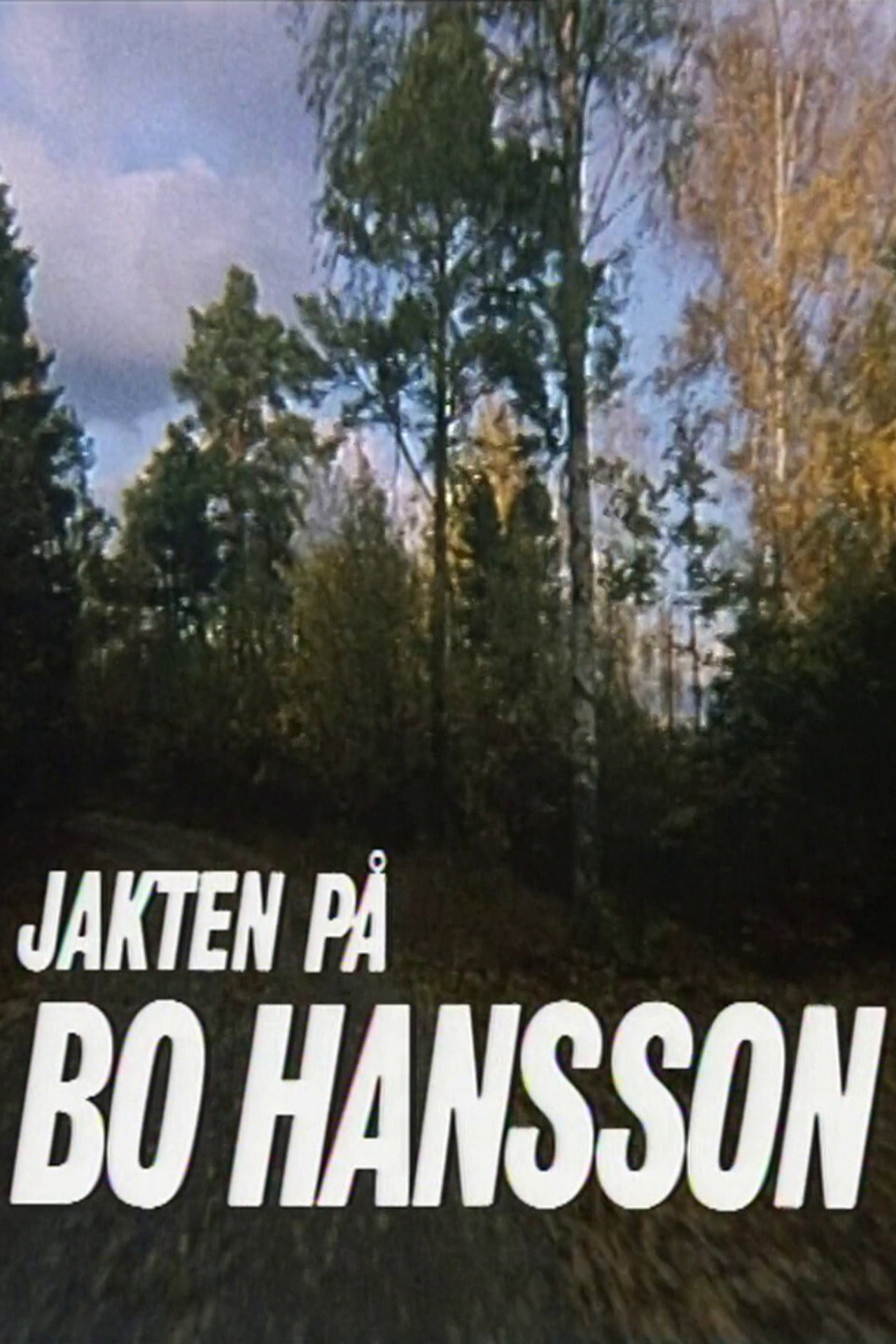 Jakten på Bo Hansson filmaffisch
