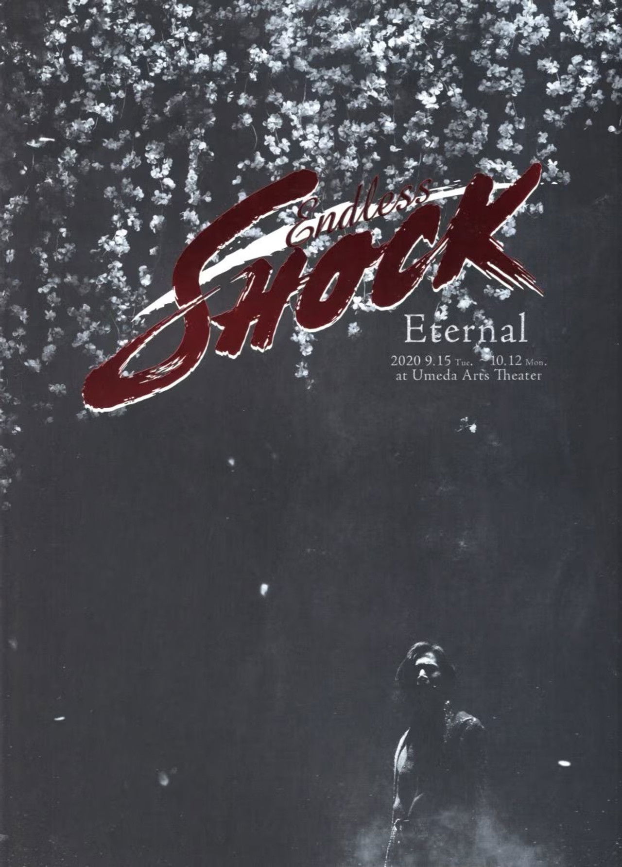Endless SHOCK 20th Anniversary -Eternal- Backdrop