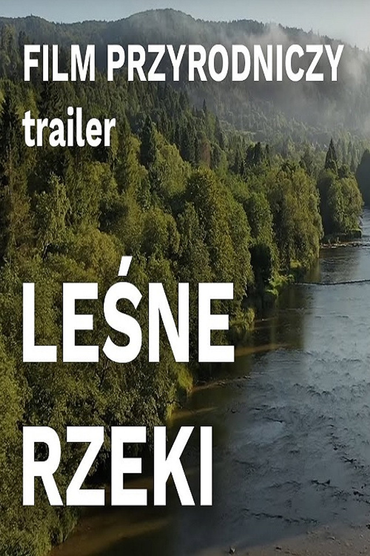 Leśne rzeki filmaffisch
