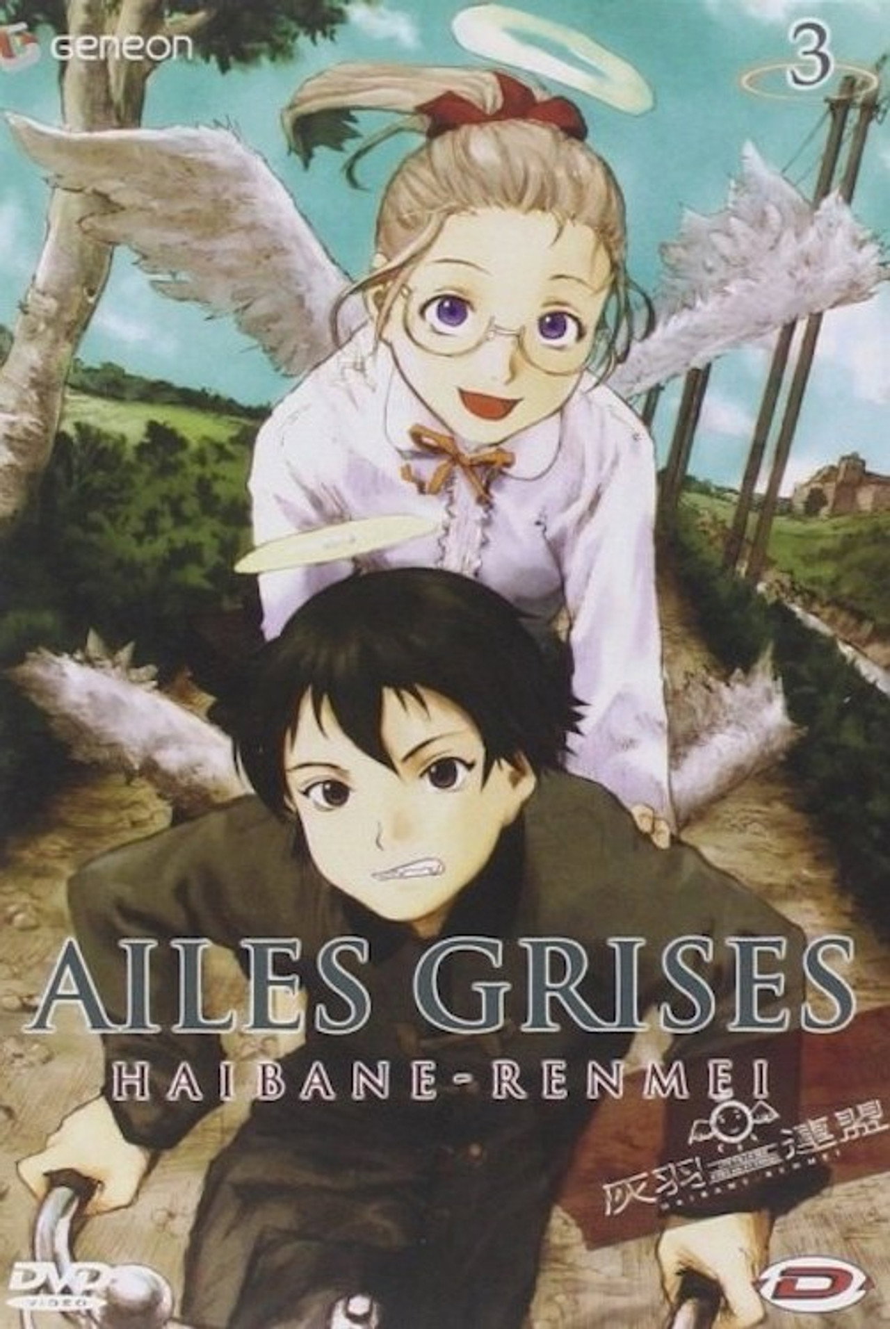Ailes Grises poster