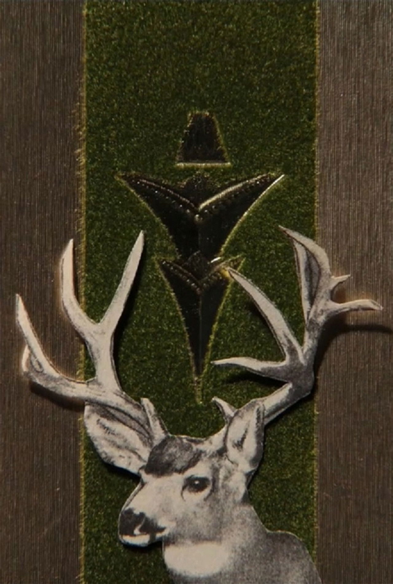 Black River Falls Backdrop