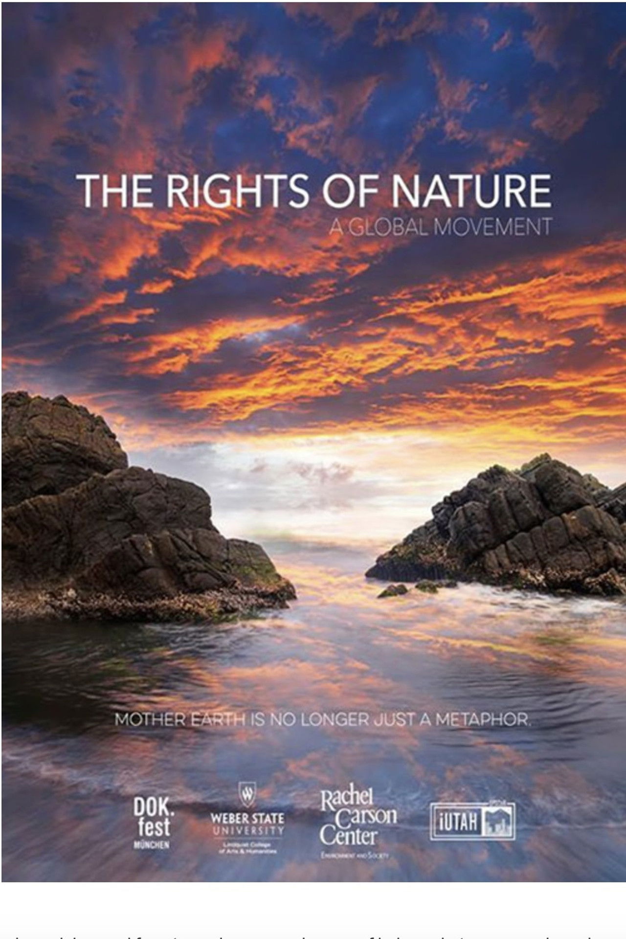 The Rights of Nature: A Global Movement Backdrop