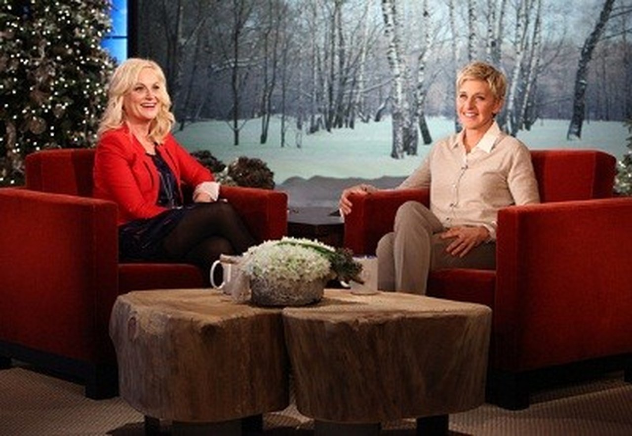 The Ellen DeGeneres Show - Season 9 Episode 68 : Day #12 of 12 Days of Giveaways - Amy Poehler