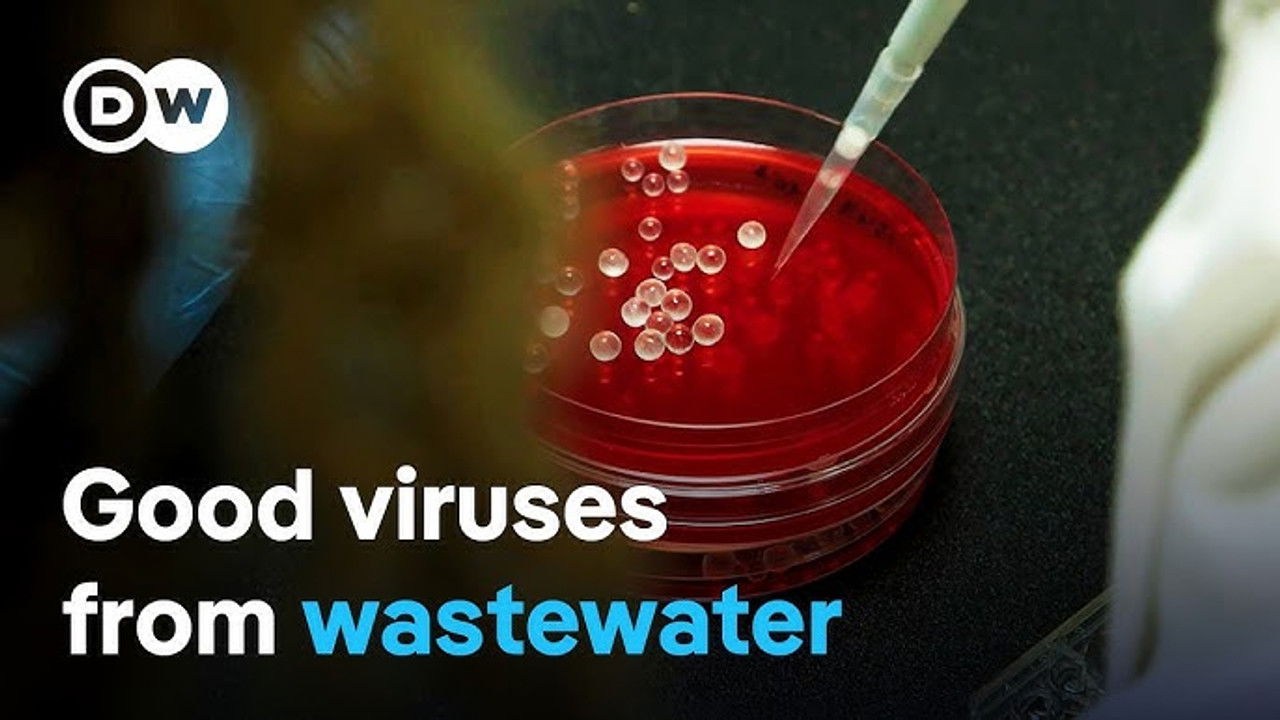 DW Documentary — Épisode 104