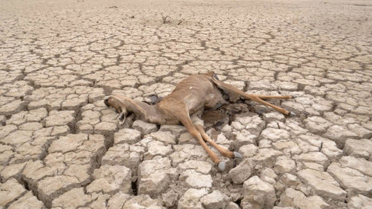 NHK Documentary — Épisode 11