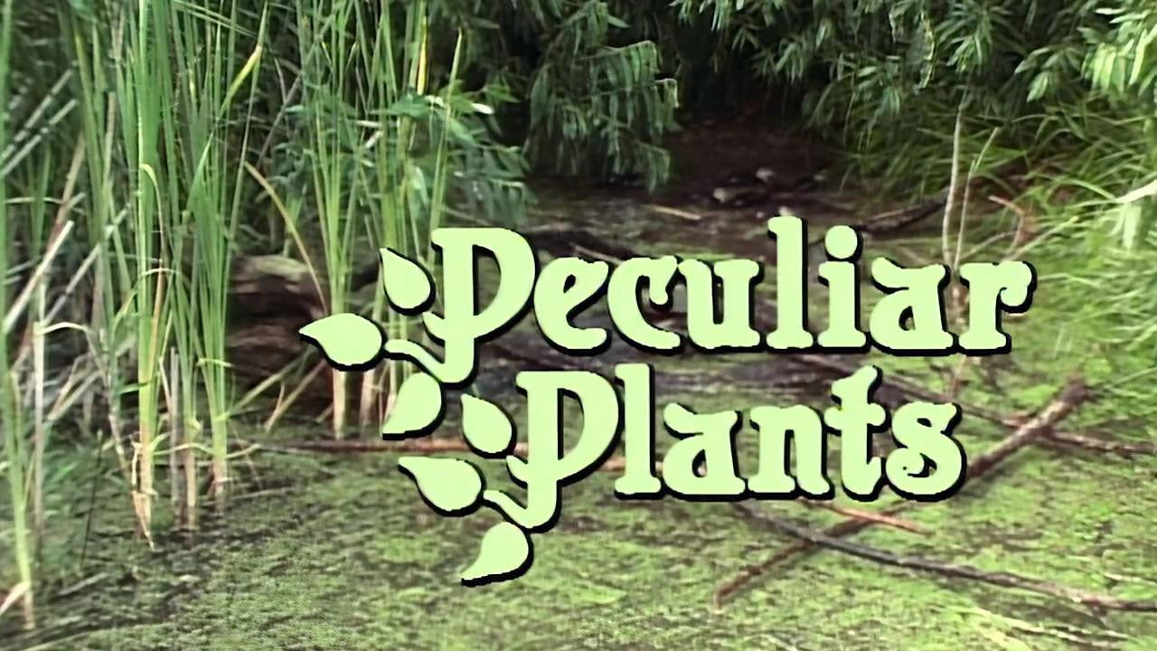 Marty Stouffer's Wild America — Épisode 4