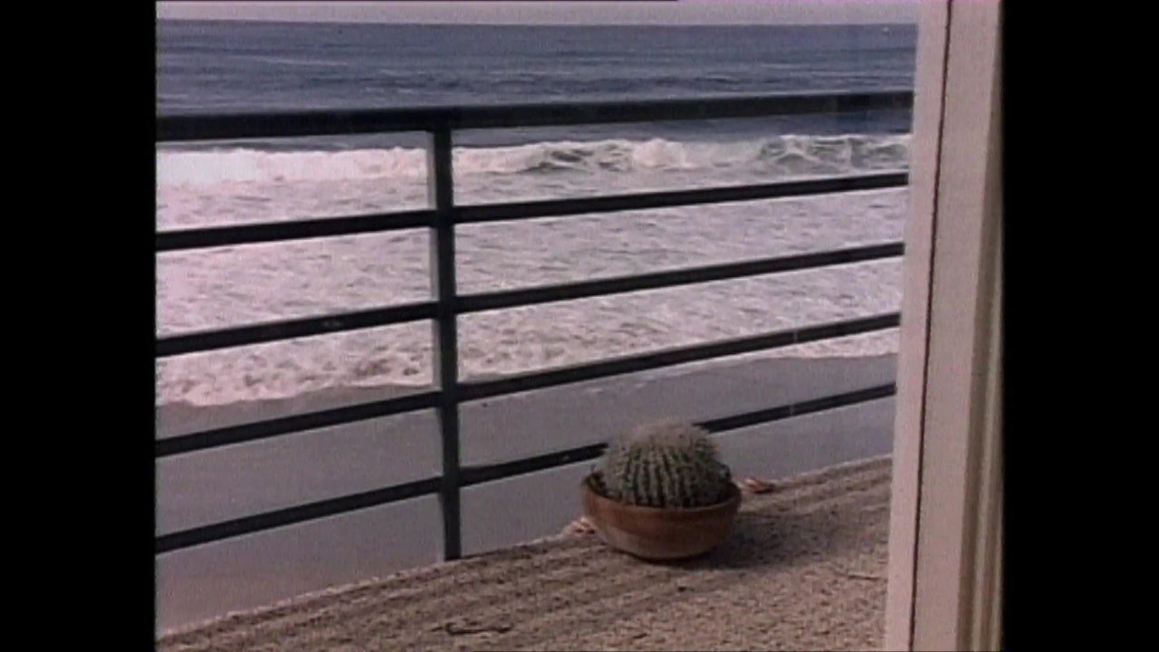 Renegade - Season 2 Episode 18 : Once Burned, Twice Chey