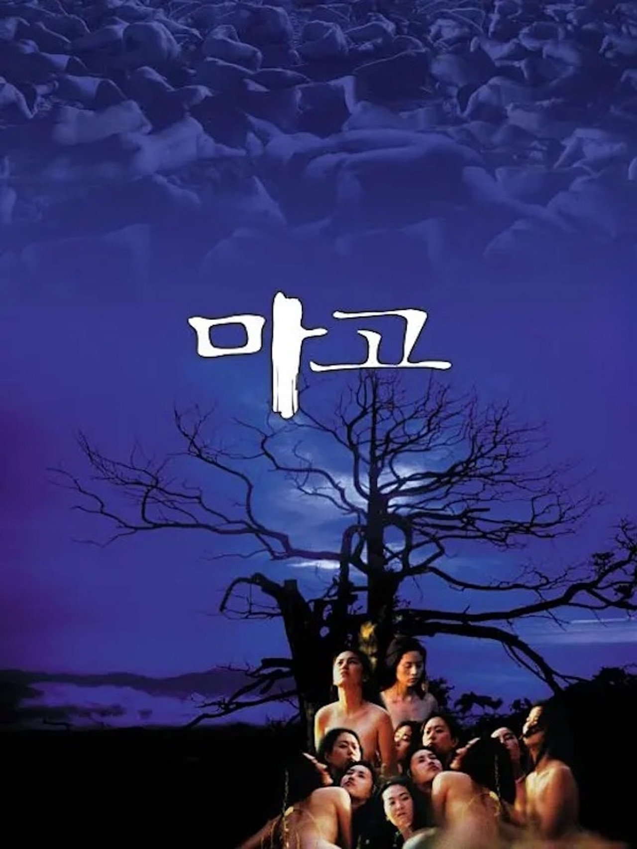 마고 filmaffisch