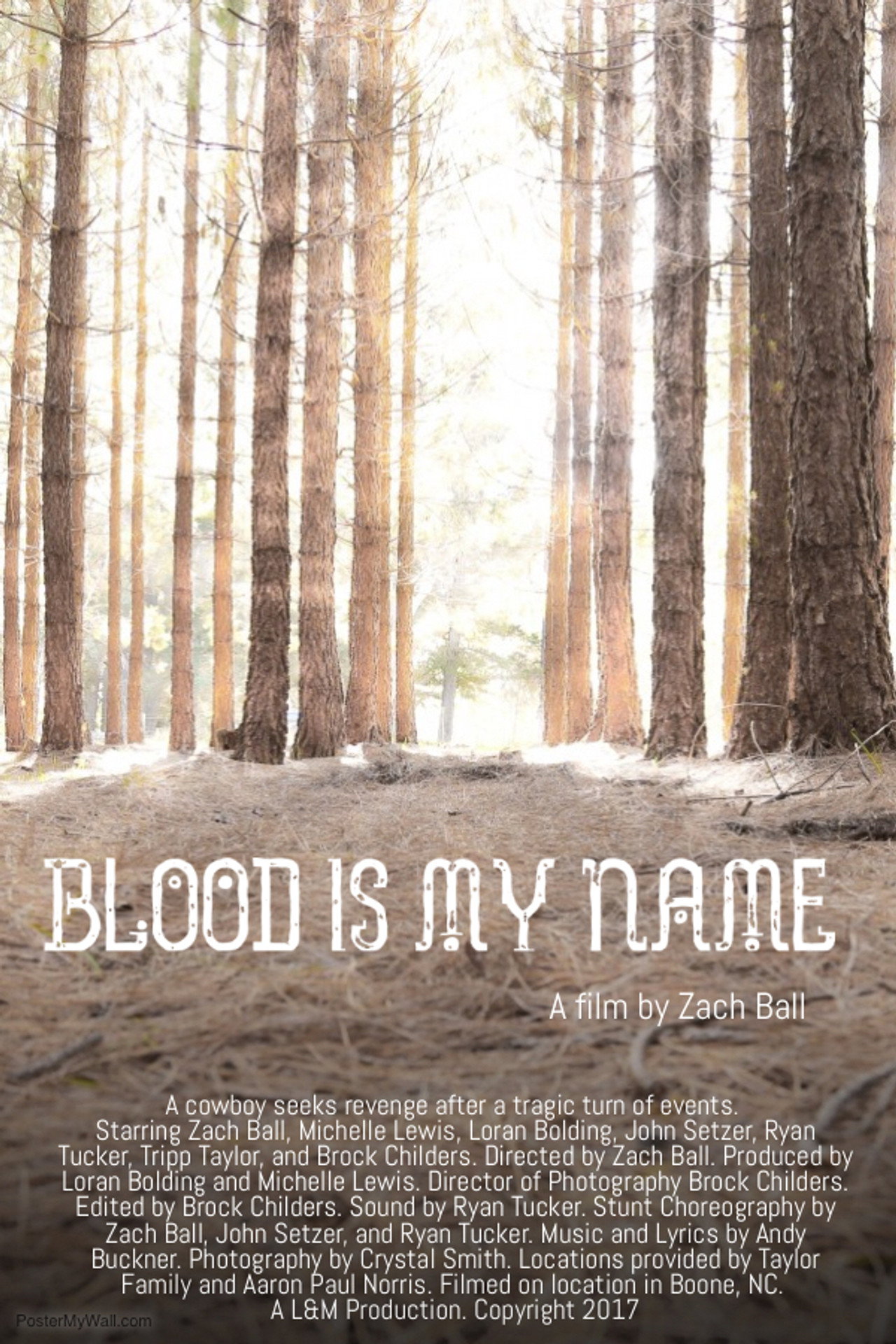 Blood Is My Name Backdrop
