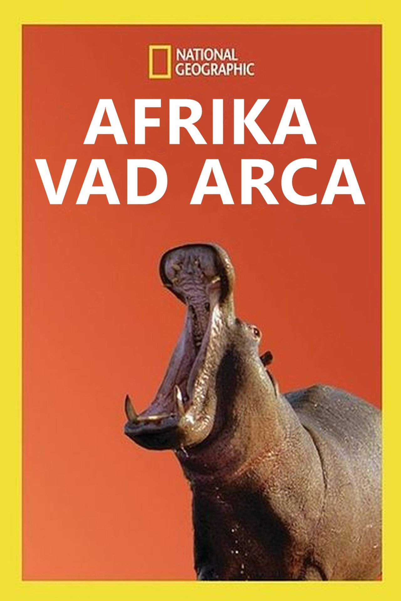 Afrika vad arca – plakát 4