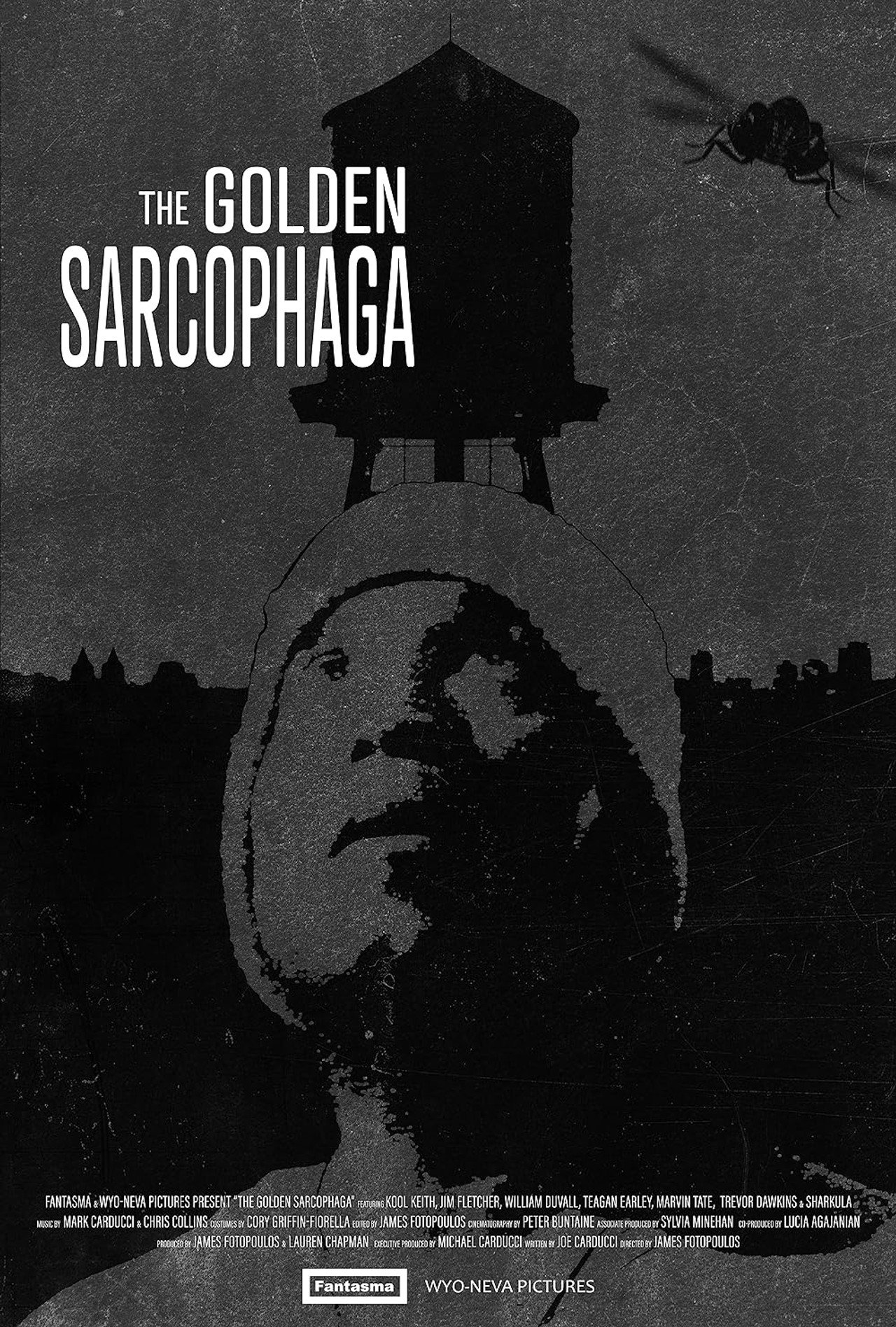 The Golden Sarcophaga Backdrop